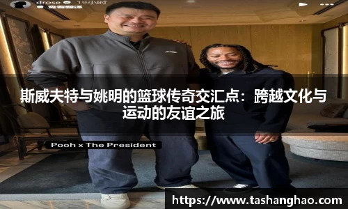 斯威夫特与姚明的篮球传奇交汇点：跨越文化与运动的友谊之旅