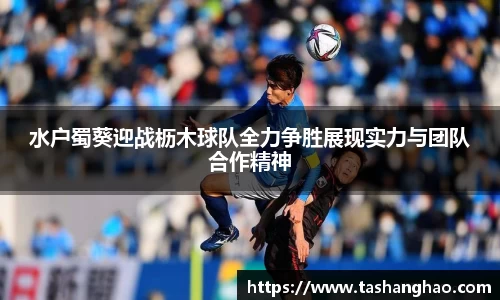 水户蜀葵迎战枥木球队全力争胜展现实力与团队合作精神