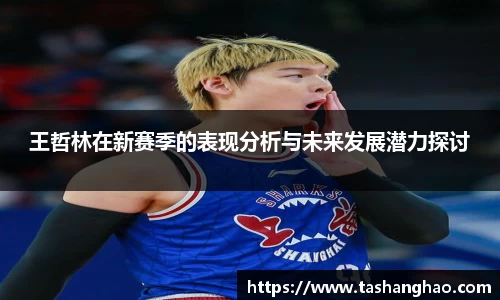 王哲林在新赛季的表现分析与未来发展潜力探讨