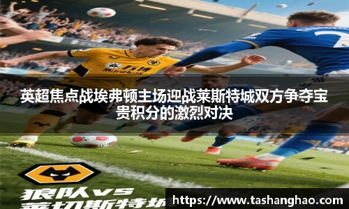英超焦点战埃弗顿主场迎战莱斯特城双方争夺宝贵积分的激烈对决