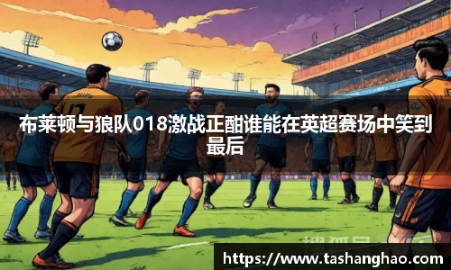 布莱顿与狼队018激战正酣谁能在英超赛场中笑到最后